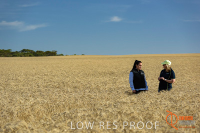 December 2017 / FARMER_VITERRA_STAFF_010_171219