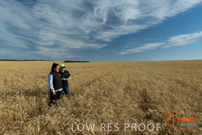 December 2017 / FARMER_VITERRA_STAFF_014_171219