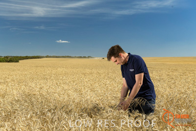 December 2017 / GLENCORE_STAFF_WHEAT_FIELD_007_171219