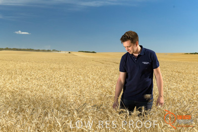 December 2017 / GLENCORE_STAFF_WHEAT_FIELD_010_171219