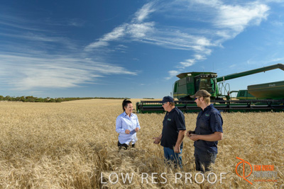 December 2017 / GLENCORE_STAFF_WHEAT_FIELD_011_171219