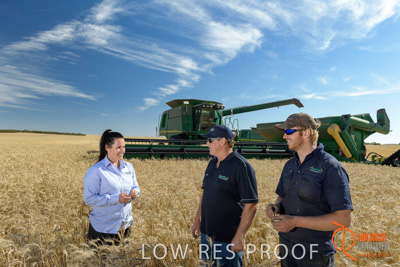 December 2017 / GLENCORE_STAFF_WHEAT_FIELD_014_171219