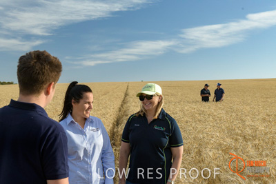 December 2017 / GLENCORE_STAFF_WHEAT_FIELD_018_171219