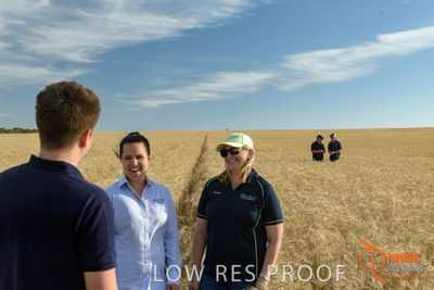 December 2017 / GLENCORE_STAFF_WHEAT_FIELD_019_171219