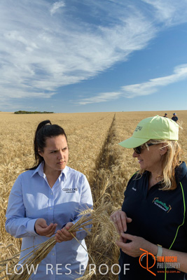 December 2017 / GLENCORE_STAFF_WHEAT_FIELD_040_171219
