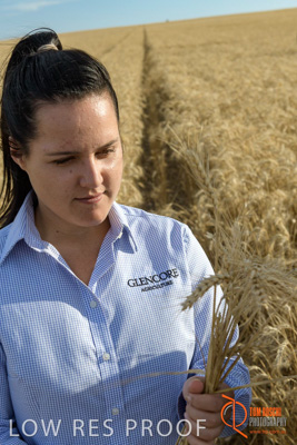 December 2017 / GLENCORE_STAFF_WHEAT_FIELD_052_171219