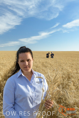 December 2017 / GLENCORE_STAFF_WHEAT_FIELD_062_171219