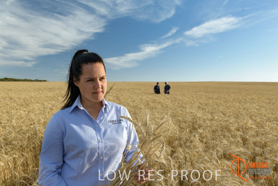December 2017 / GLENCORE_STAFF_WHEAT_FIELD_068_171219