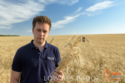 December 2017 / GLENCORE_STAFF_WHEAT_FIELD_072_171219