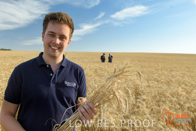 December 2017 / GLENCORE_STAFF_WHEAT_FIELD_073_171219