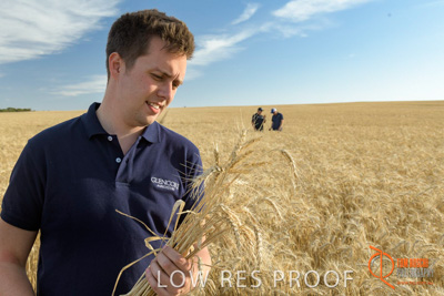 December 2017 / GLENCORE_STAFF_WHEAT_FIELD_074_171219
