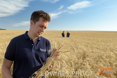 December 2017 / GLENCORE_STAFF_WHEAT_FIELD_077_171219