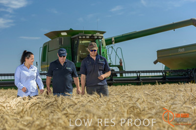 December 2017 / GLENCORE_STAFF_WHEAT_FIELD_100_171219