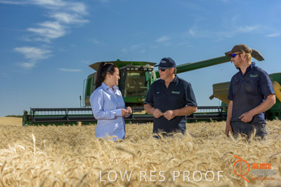 December 2017 / GLENCORE_STAFF_WHEAT_FIELD_102_171219