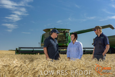 December 2017 / GLENCORE_STAFF_WHEAT_FIELD_106_171219