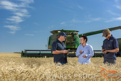 December 2017 / GLENCORE_STAFF_WHEAT_FIELD_110_171219