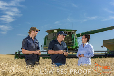 December 2017 / GLENCORE_STAFF_WHEAT_FIELD_112_171219