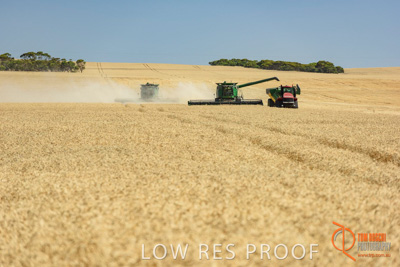 December 2017 / HARVESTING_WHEAT_001_171219