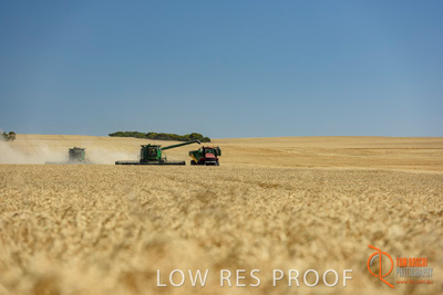 December 2017 / HARVESTING_WHEAT_004_171219