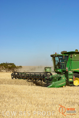 December 2017 / HARVESTING_WHEAT_018_171219