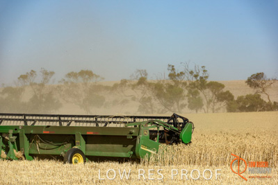 December 2017 / HARVESTING_WHEAT_019_171219