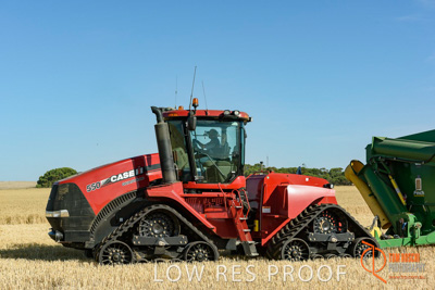 December 2017 / HARVESTING_WHEAT_020_171219