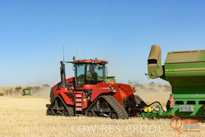 December 2017 / HARVESTING_WHEAT_022_171219