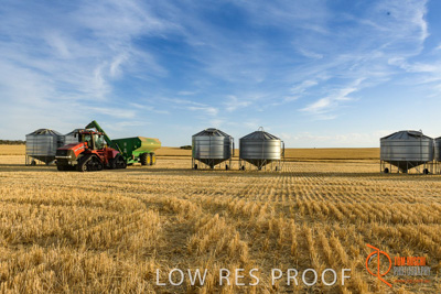 December 2017 / HARVESTING_WHEAT_057_171219