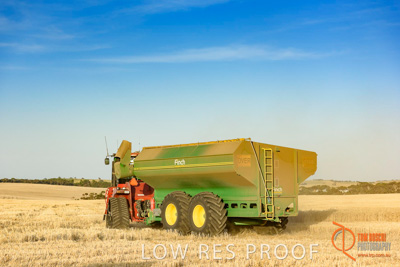 December 2017 / HARVESTING_WHEAT_061_171219
