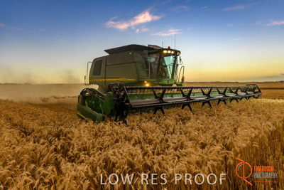 December 2017 / HARVESTING_WHEAT_083_171219
