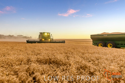 December 2017 / HARVESTING_WHEAT_096_171219