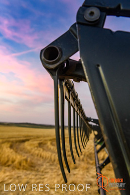 December 2017 / HARVESTING_WHEAT_101_171219
