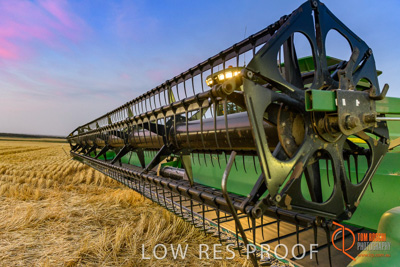 December 2017 / HARVESTING_WHEAT_105_171219