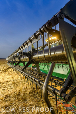 December 2017 / HARVESTING_WHEAT_109_171219