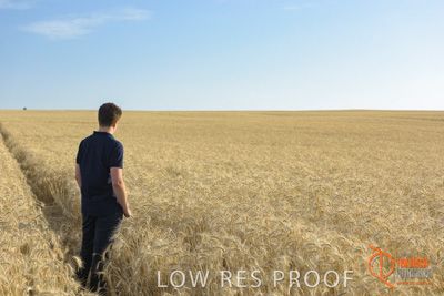 December 2017 / MALE_IN_WHEAT_FIELD_009_171219