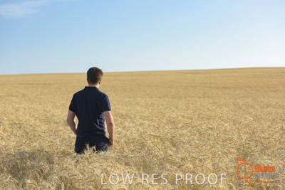 December 2017 / MALE_IN_WHEAT_FIELD_010_171219