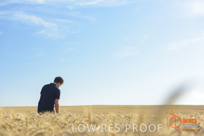 December 2017 / MALE_IN_WHEAT_FIELD_014_171219
