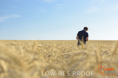 December 2017 / MALE_IN_WHEAT_FIELD_021_171219