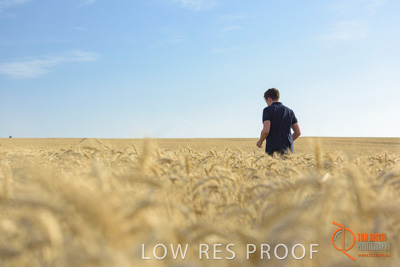 December 2017 / MALE_IN_WHEAT_FIELD_022_171219