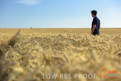 December 2017 / MALE_IN_WHEAT_FIELD_030_171219