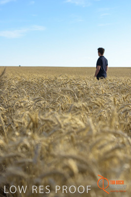 December 2017 / MALE_IN_WHEAT_FIELD_042_171219