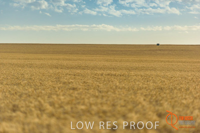 December 2017 / WHEAT_041_171219