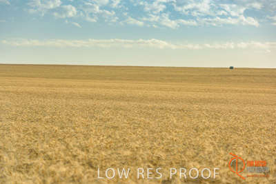 December 2017 / WHEAT_043_171219