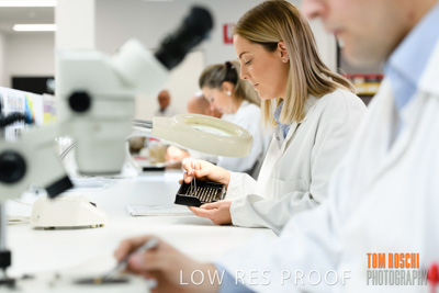 June 2018 / LAB_defect_count_blk_tray_female-male_180601_036