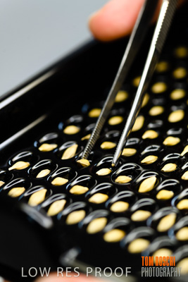 June 2018 / LAB_defect_count_blk_tray_female-male_180601_043