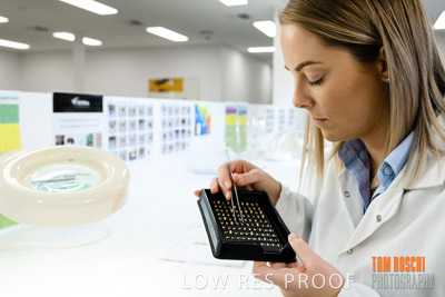 June 2018 / LAB_defect_count_blk_tray_female-male_180601_061