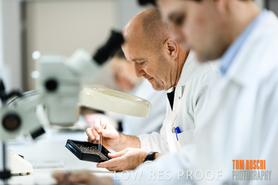 June 2018 / LAB_defect_count_blk_tray_female-male_180601_091