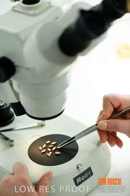 June 2018 / LAB_Microscope_female-male_colaborating_180601_077