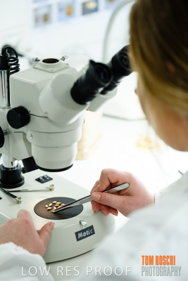 June 2018 / LAB_Microscope_female-male_colaborating_180601_080