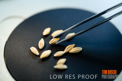 June 2018 / LAB_Microscope_female-male_colaborating_180601_084